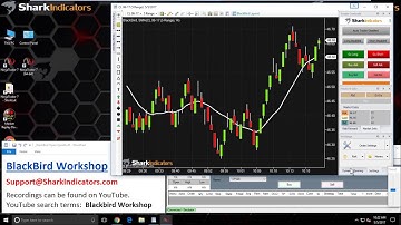BlackBird Workshop - Daily Max Profit / Loss and Other Money Management Settings