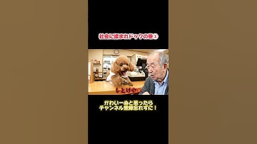 AIが考える接客業 #ai生成 #veo3 #ai動画 # #ai