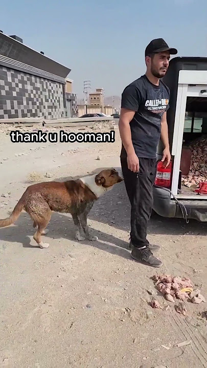 Dog started crying after man brought food