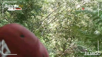 Viral, cara jitu mikat burung rambatan dngn cara unik.
