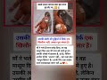 उसकी छोटी-सी मुट्ठियों में सिर्फ एक... #shortsfeed #trending #shorts #shortvideo #short