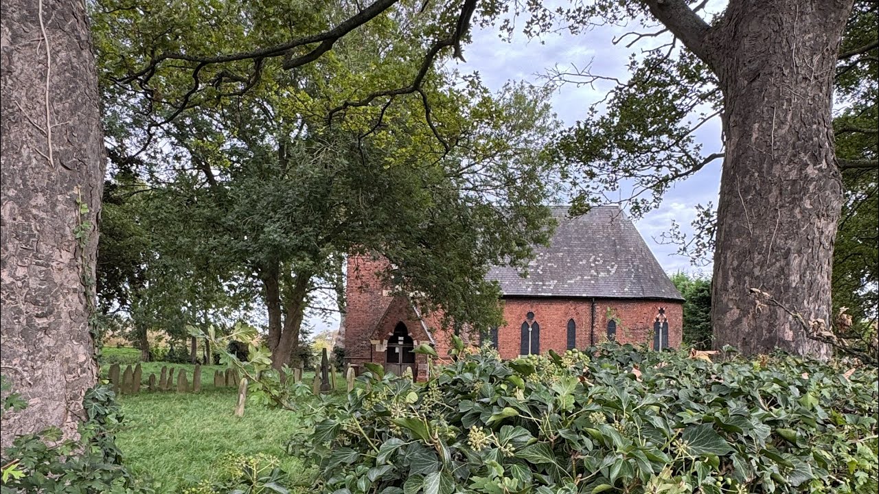 Todays live -Technical problems cut short live 💙 🐾 