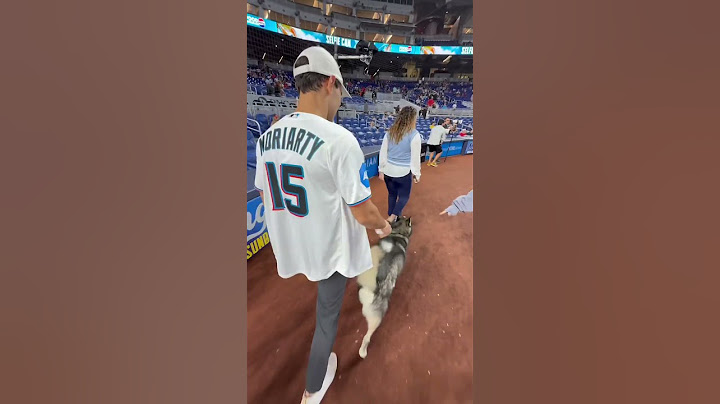 My dog went crazy during the first pitch! #dogsofyoutube  #dog #dogs #husky #baseball #mlb