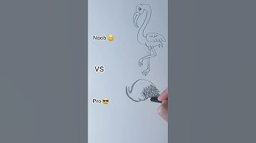 Drawing a flamingo🦩🩷