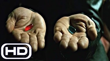 THE MATRIX What If Neo Took Blue Pill? (The Matrix Path of Neo)