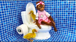 Two funny Ducklings and baby Monkey