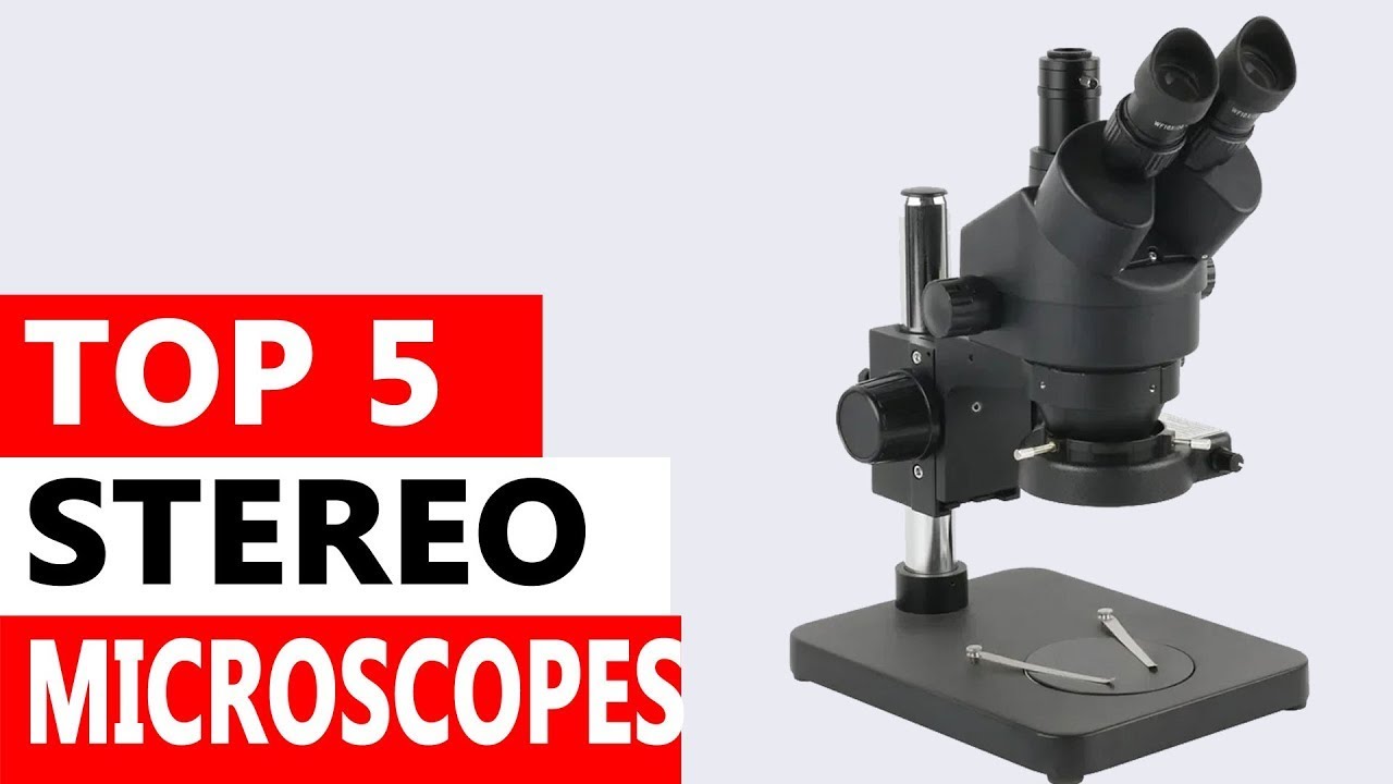 Top 5 Best Stereo Microscopes On Aliexpress On Aliexpress