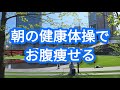 🔥【30分】ナマケモノでも痩せた!? 立ったままお腹が凹む簡単体操