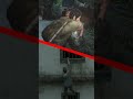 Es este el techo de Naughty Dog?  #evilgaming #gaming #videojuegos