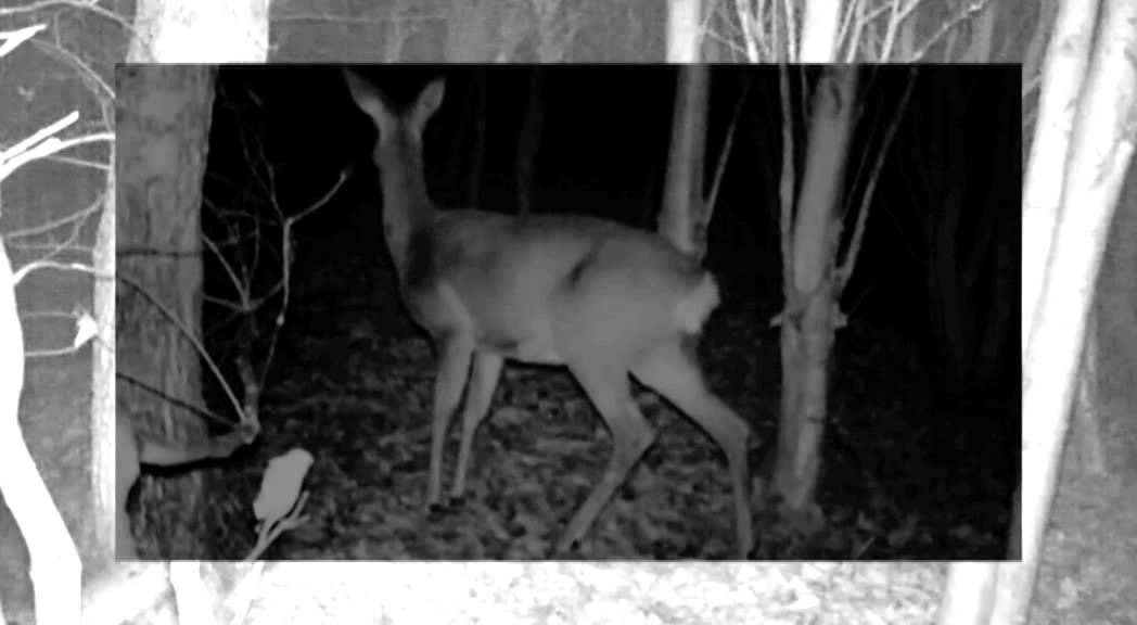 在 YouTube 上观看 MARBERT ROCEL - LOVE ME (GOOD GUY MIKESH & FILBURT REMIX) 在 YouTube 上观看 MARBERT ROCEL - LOVE ME (GOOD GUY MIKESH & FILBURT REMIX)