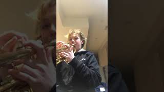 IMG 1257
