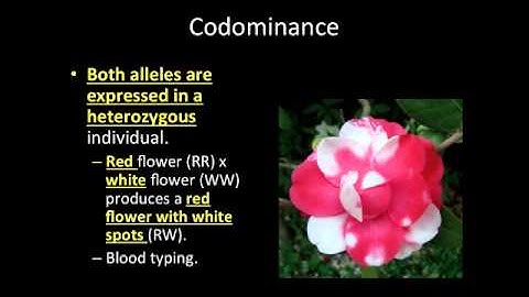 Video Lecture: 9-2 Complex Patterns of Inheritance