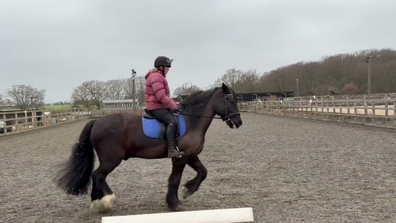 Freya sopp - blackjack - intro - CDRC - Jan 26