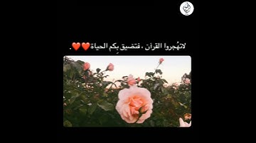 القارئ ماهر المعيقلي❤️من سورة يس رآحة للقلب حالات واتس اب/انستا