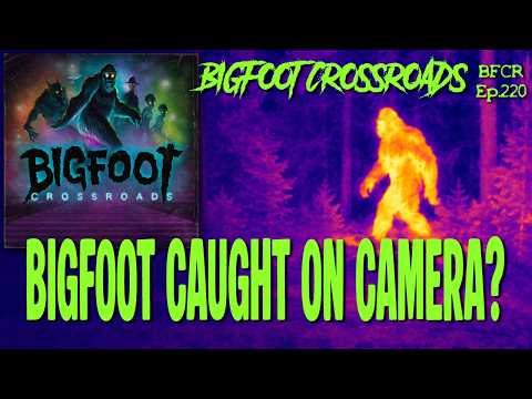 Bigfoot Caught On Camera? | Bigfoot Crossroads Ep.220