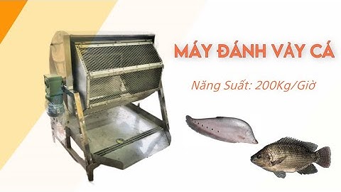 Máy đánh vảy cá thác lác