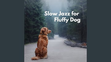 Amazing Music for Forgetting Mirrors