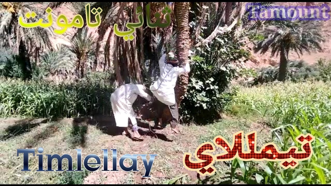 تيمللاي لثنائي تامونت Timlellay