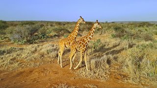 MOSOPAL FT LENARASHA-LOISABA III ( 4K VIDEO)