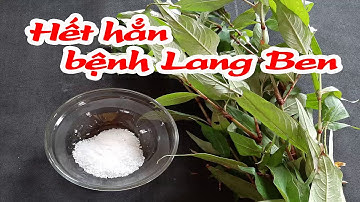 Hết hẳn bệnh lang ben tận gốc chỉ bằng 1 nắm lá rau răm