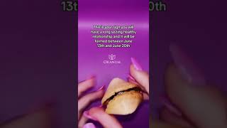 Fortune cookie love