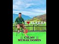 Calmy cover    murak domin  