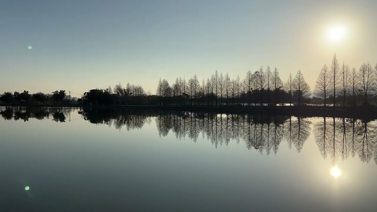 115-02-15 桃園八德 霄裡池的清晨 無雲無波 倒映鮮明 春天的氣息近了