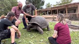 Where Giants Walk,   Interesting facts and stories about Giant Tortoises