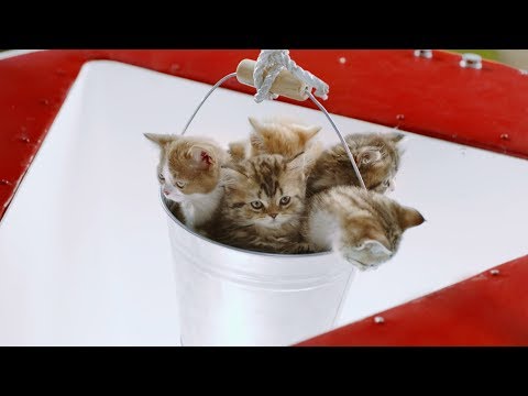 Безлимит на YouTube: неограниченный трафик для просмотра видео