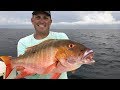 Mutton Snapper Catch Clean Cook! Tasty Tuesday! Deer Meat For Dinner!