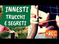INNESTI: come e quando innestare  [con Gian Marco Mapelli]
