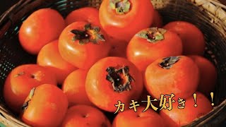 日本で衝撃を受けた！日本特産の柿の美味しさに感動する外国人が続出　海外の反応