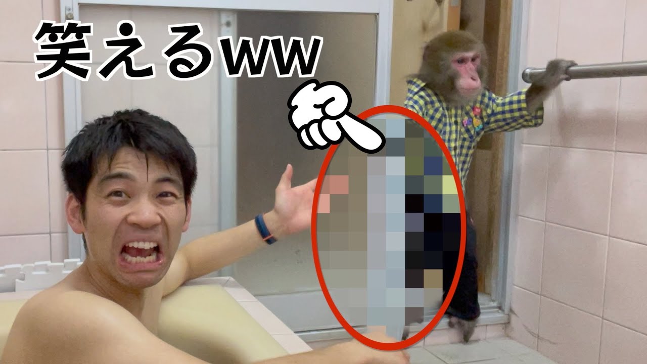 バスタオルを忘れたのでお猿さんに「持ってきて」と頼んでみた結果wwww
