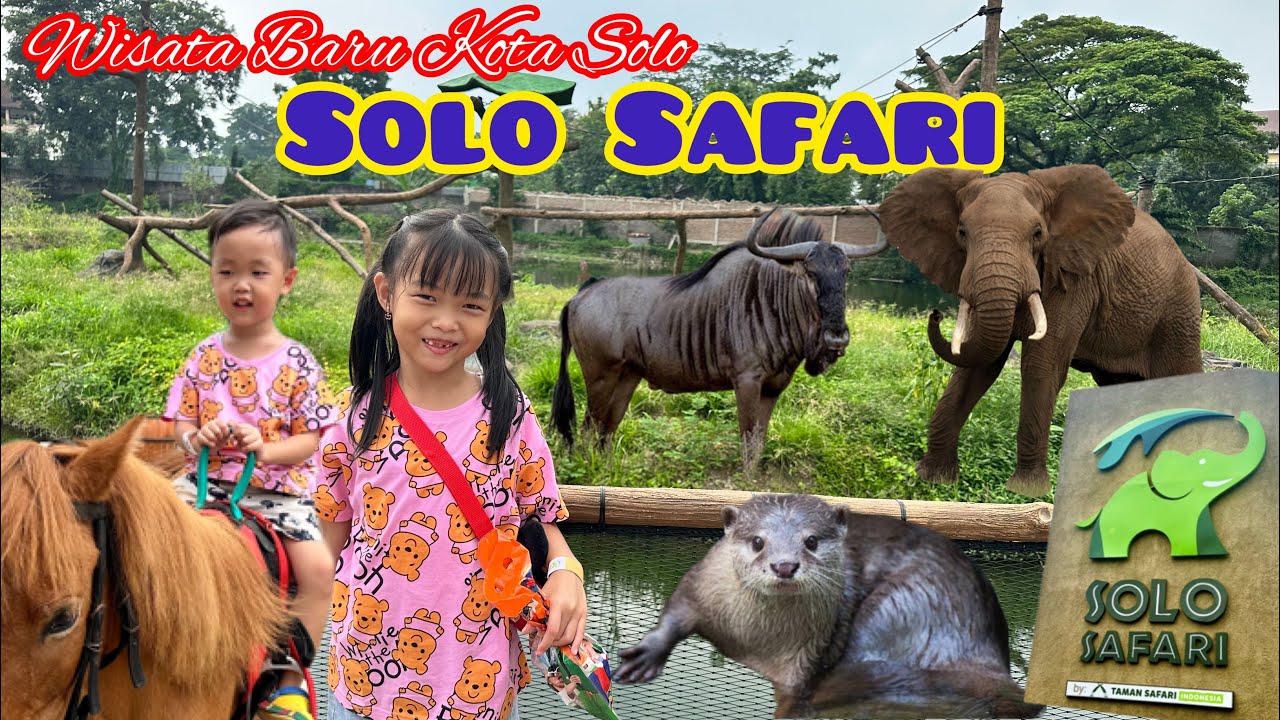 Wisata Solo | Solo Safari | Taman Safari - YouTube
