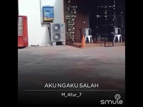 AKU NGAKU SALAH