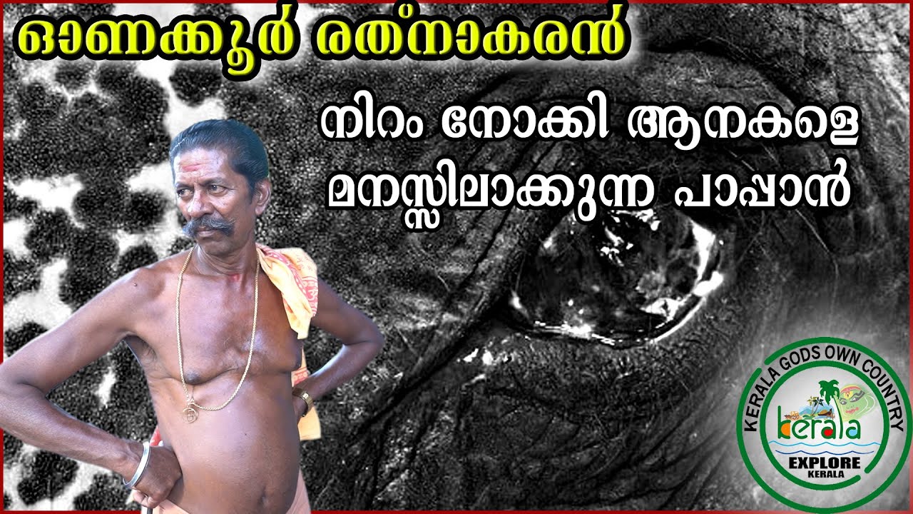 Onakkoor Rathnakaran | Life Story | Kerala ElephantTrainer | Malayalam Vlogs | Onakkoor Pappan |
