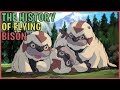 The History Of Flying Bison (Avatar)