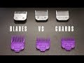 CLIPPER BLADES vs CLIPPER GUARDS | Whats the Difference?