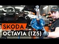 Как заменить амортизаторы передней подвески на OCTAVIA (1Z5) [ВИДЕОУРОК AUTODOC]