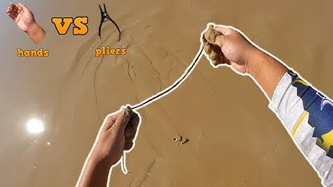 How to catch Beach Worms⎮tips and tricks, pliers or hands - beach worming episode 1 ⎮
