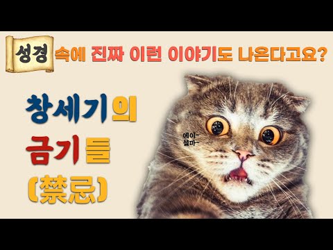 영상썸네일
