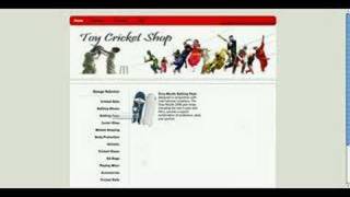 toy cricket shop screenshot 5
