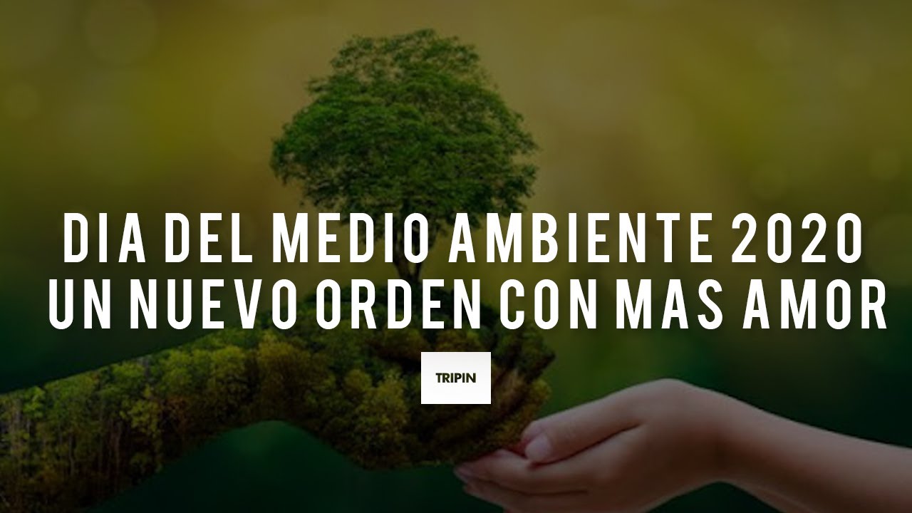 orden ambien