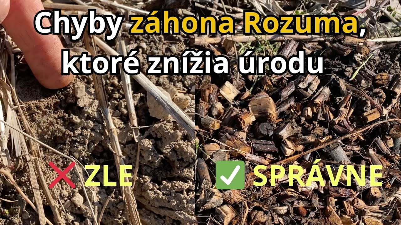 Najväčšie chyby pri Záhone Rozuma – vyhnite sa im!