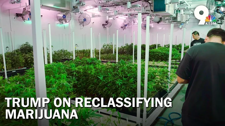 Will President Trump reclassify marijuana?