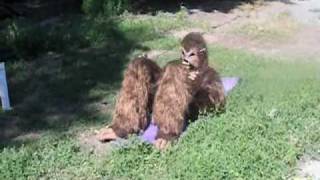 Jack Links Messin' with Sasquatch New Official Commercial