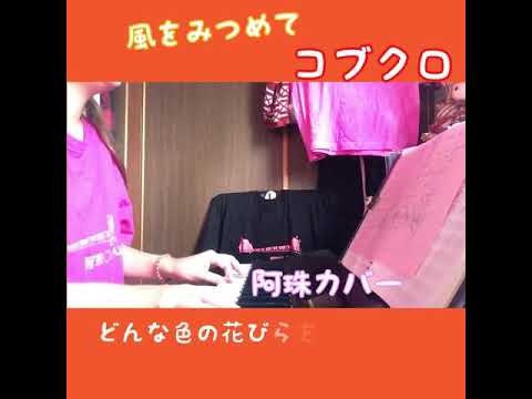 風をみつめて