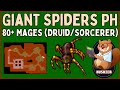 Giant Spiders Port Hope | 80+ Sorcerer/Druid | Tibia