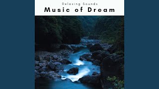 Algorithmic Nap Journey with Hyper Calm Tunes