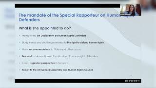 Webinar: Submissions to the United Nations Special Procedures
